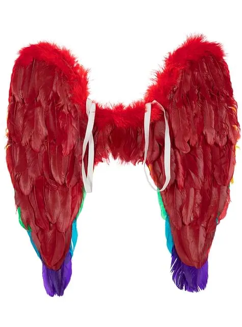 Ali arcobaleno multicolore