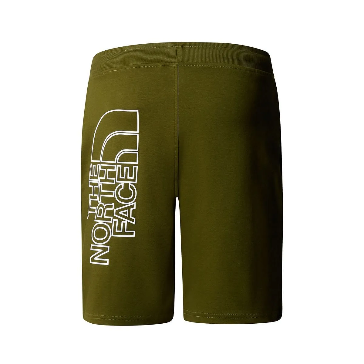      THE NORTH FACE BERMUDA GRAPHIC LIGHT  